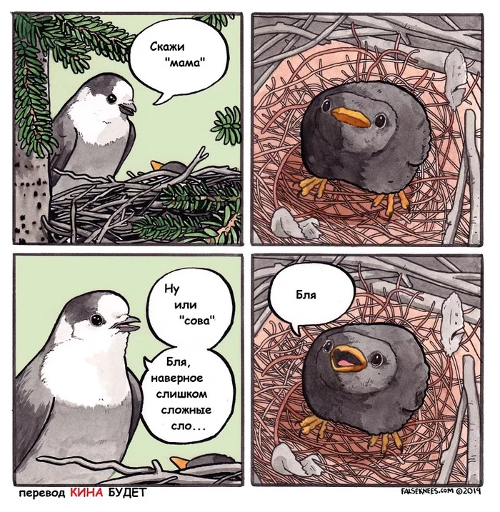 Difficult words... - Birds, Parents, Children, The words, Comics, Translated by myself, Falseknees, Mat