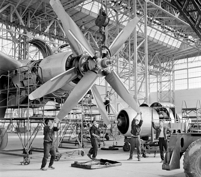 Inspection of TU-114 in the repair shop, 1965 - My, Domodedovo, Airplane, Civil Aviation Day, Rgakfd, Archive of film and photo documents, Story