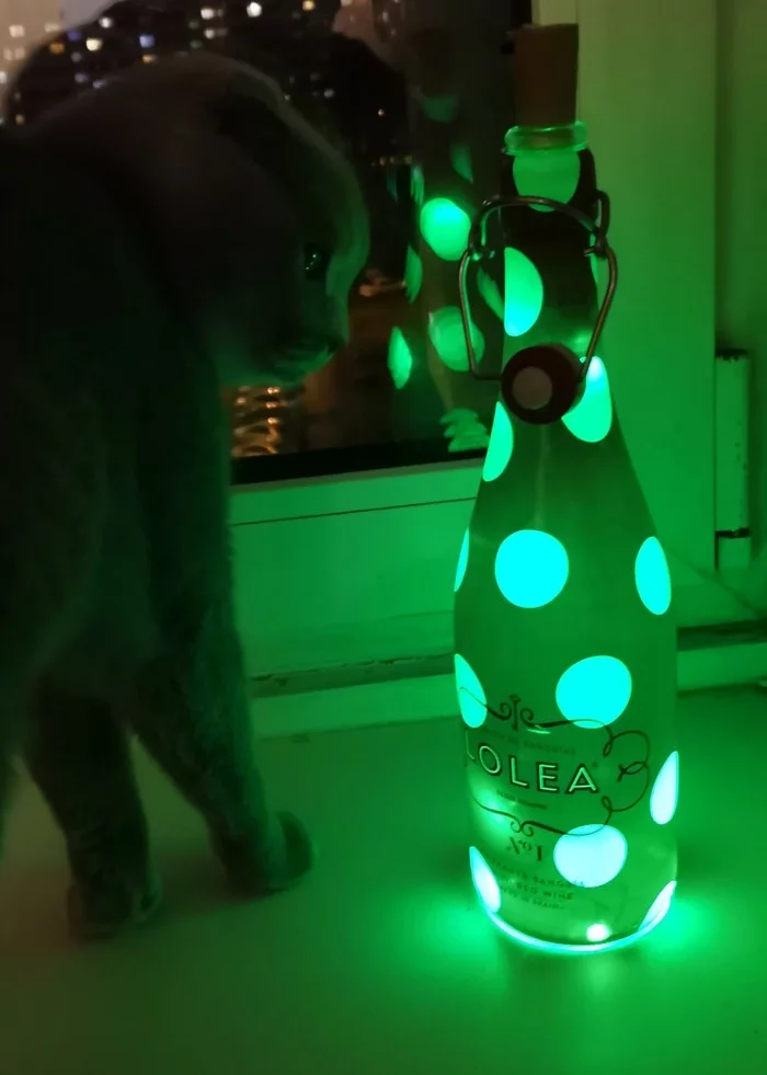 My cat lamp - My, cat, Catomafia