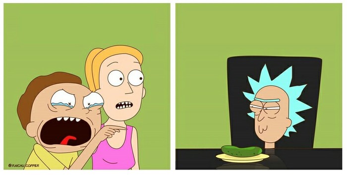 Meme of the passing year - From the network, Rick and Morty, Two women yell at the cat, Memes, Rick, Morty, Summer