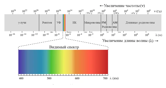 Пищевая цепочка - Моё, Мысли, Рассказ, Демон, Потустороннее, Паразиты, Длиннопост