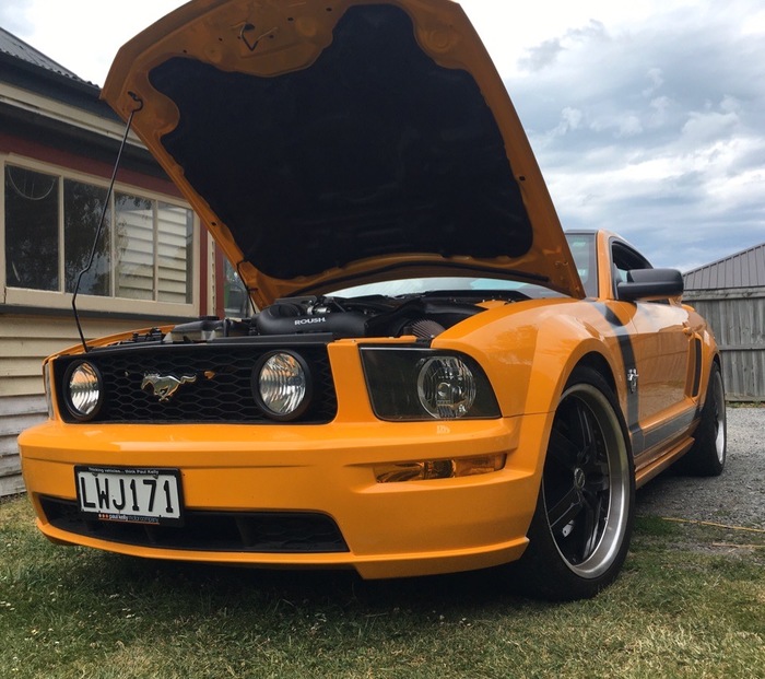 Ford Mustang GT -   (20052014) Ford Mustang,  , , 