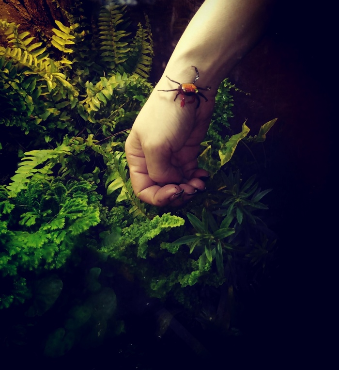 Утренняя прогулка