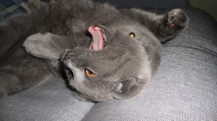 ��� ������ � ����� ���