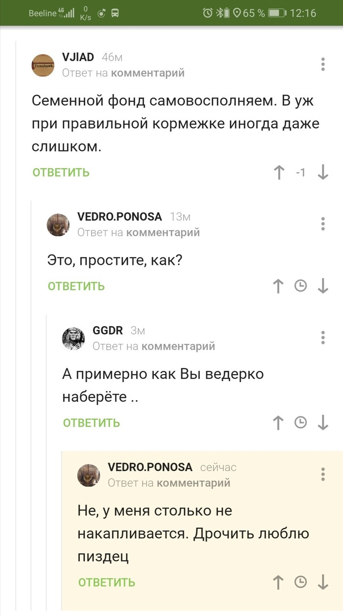 �������� ����