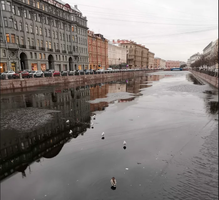Jesus Seagulls - My, Saint Petersburg, Seagulls, Walking on water