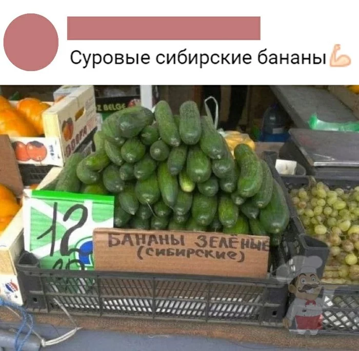 Oh, this Siberia - Humor, Images, Picture with text, Banana, Cucumbers, Price tag, Box