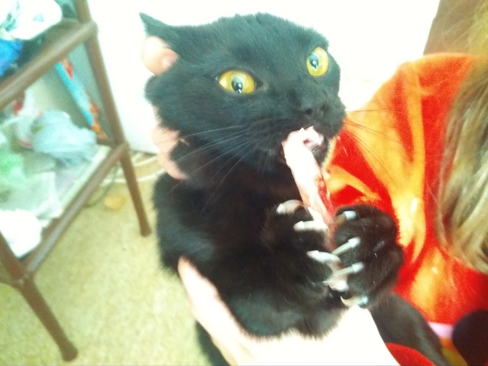 ��� �������