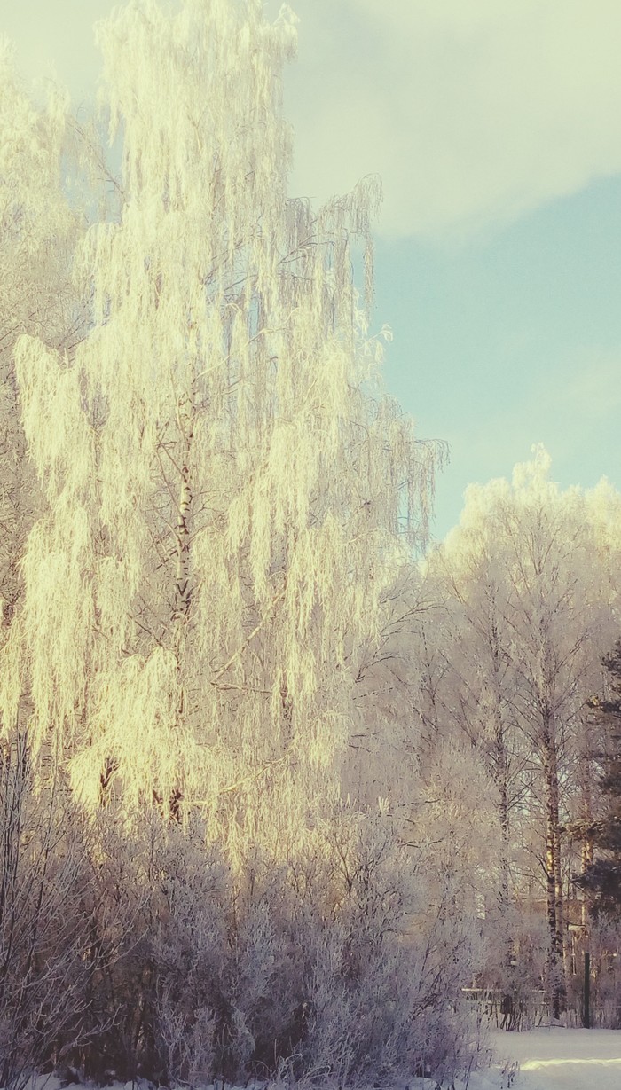 Russian nature in winter is so charming.(Российская природа зимой это так прелестно)