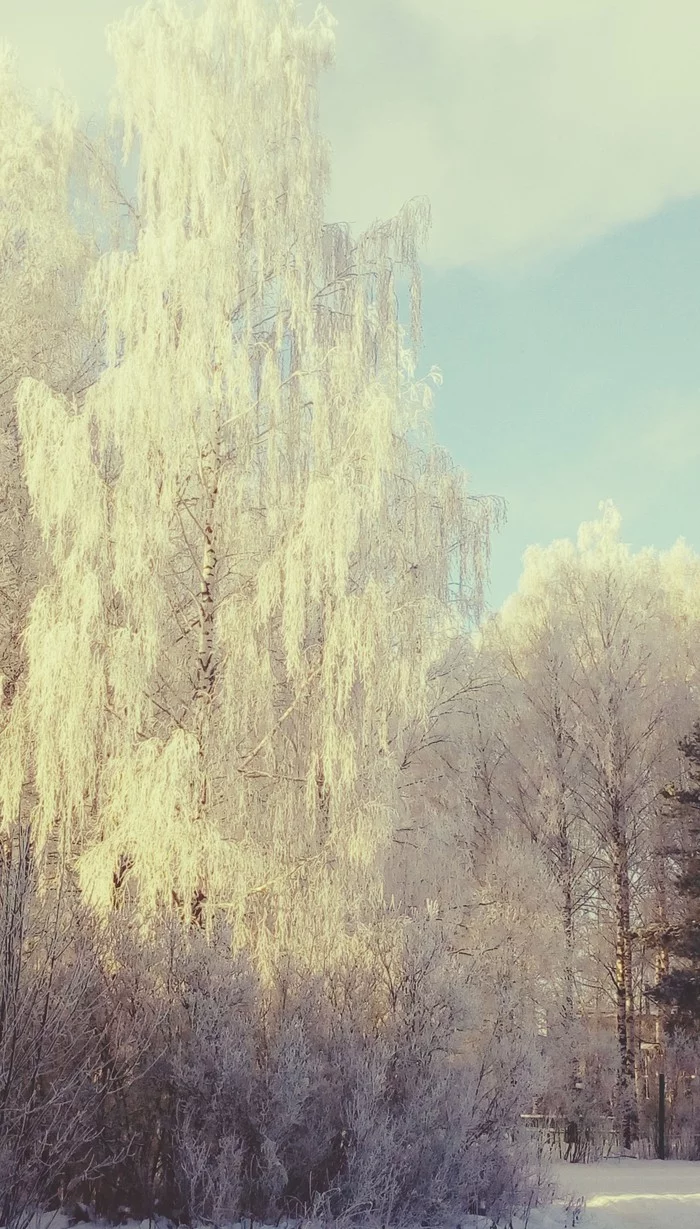 Russian nature in winter is so charming. (Russian nature in winter is so charming) - Nature, Beautiful, Photography lessons, Winter