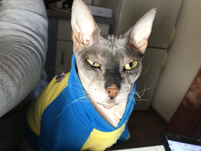 Hold my beer! ����� 12. �������, ����� ����� � ����� ������