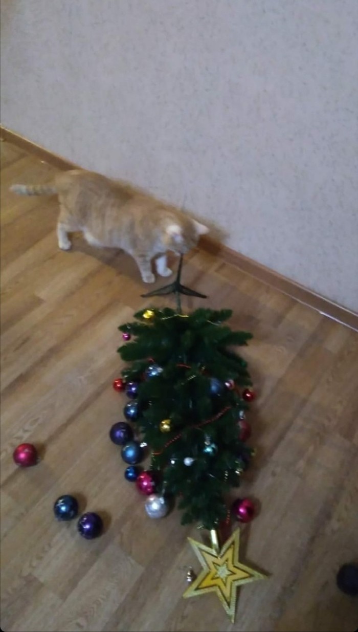  ,  ,  , 