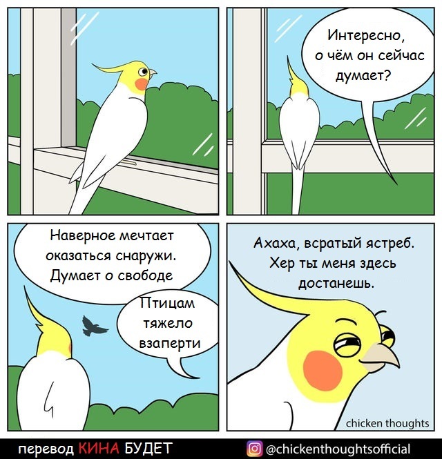 О чём думают птички... - Попугай, Свобода, Мысли, Комиксы, Перевел сам, Chicken thoughts