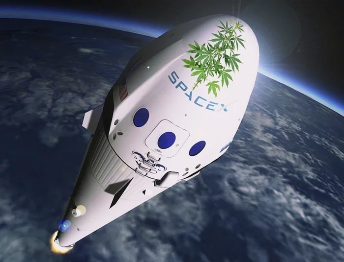 SpaceX will deliver cannabis to the ISS in March 2020 - news, Spacex, Elon Musk, Snoop dogg, Space, Marijuana