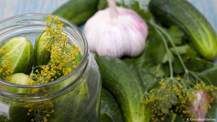 Germany to spray cucumber pickle on roads to fight ice - Germany, news, Canned food, Cooking, Technologies, Cucumbers, Brine, Road