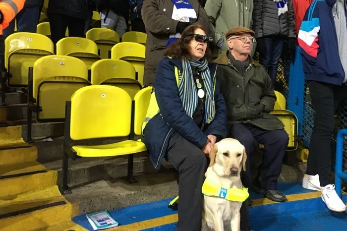 How guide dogs help disabled people attend football matches - Dog, Guide Dog, Football, England, Disabled person, Video, Longpost