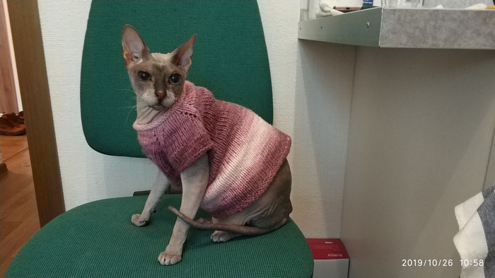 �������� ����������. ����, � ������� ���������� ��� ������