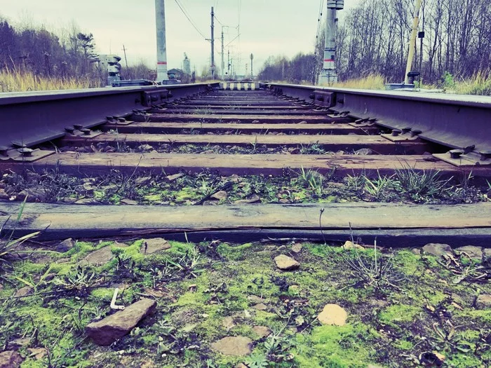 Just a railroad - Railway, Path, Nature