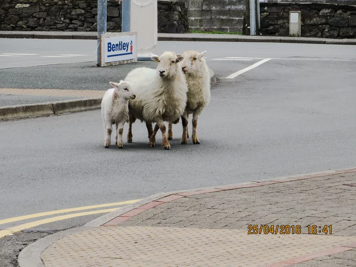 Rest in the village - My, Travels, Wales, Village, Lake, Snowdonia, Longpost