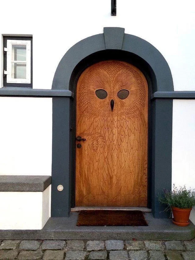 Owl door - Door, Owl