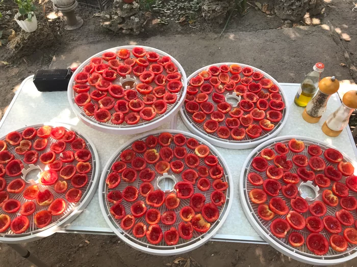 Sun-dried tomatoes - My, Tomatoes, Yummy, Longpost, Food, Drying