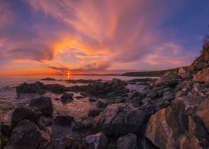 ������ ������