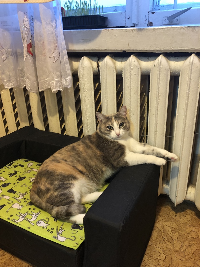 Че надо? Не видишь, отдыхаю