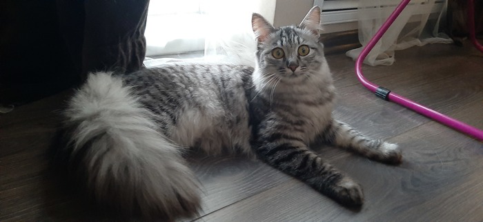 ����� ���� ���