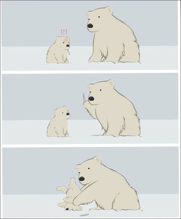 Temperature - Comics, Polar bear, Fever, Snow, From the network