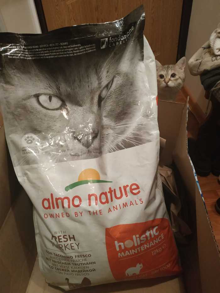 New cat food - My, cat, Cat's food, Astonishment