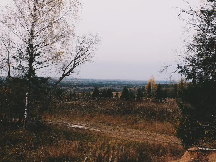 gray-haired - My, Fishing, Hike, Taiga, Wolf, Travel across Russia, Ural, Longpost