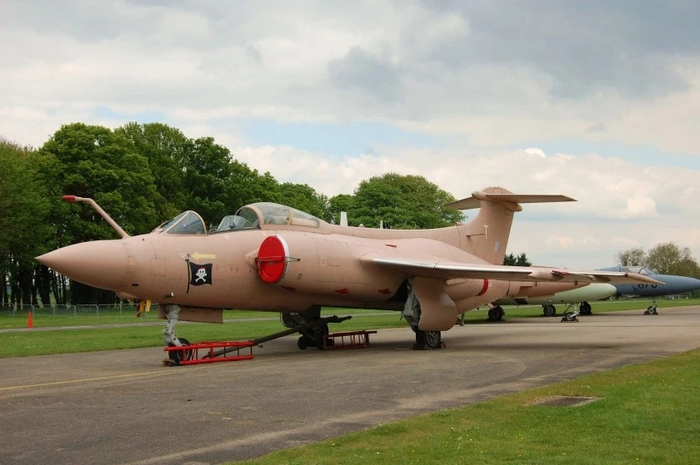 Розовый камуфляж? ДА, РОЗОВЫЙ КАМУФЛЯЖ! Cat_cat, История, Длиннопост, Камуфляж, Розовый, Война