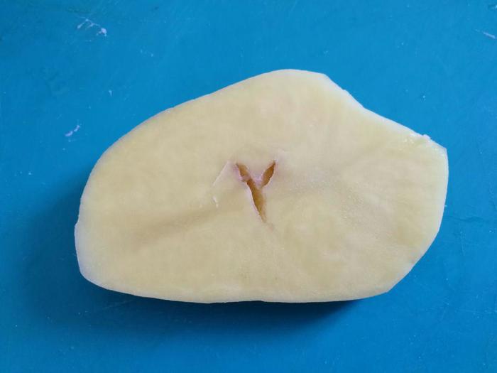 ������.��������