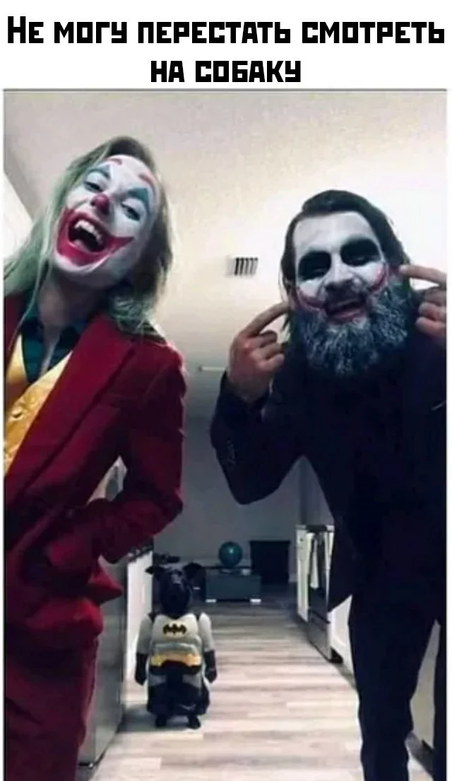 I can't stop looking at the dog - Joker, Batman, Dc comics, Cosplay