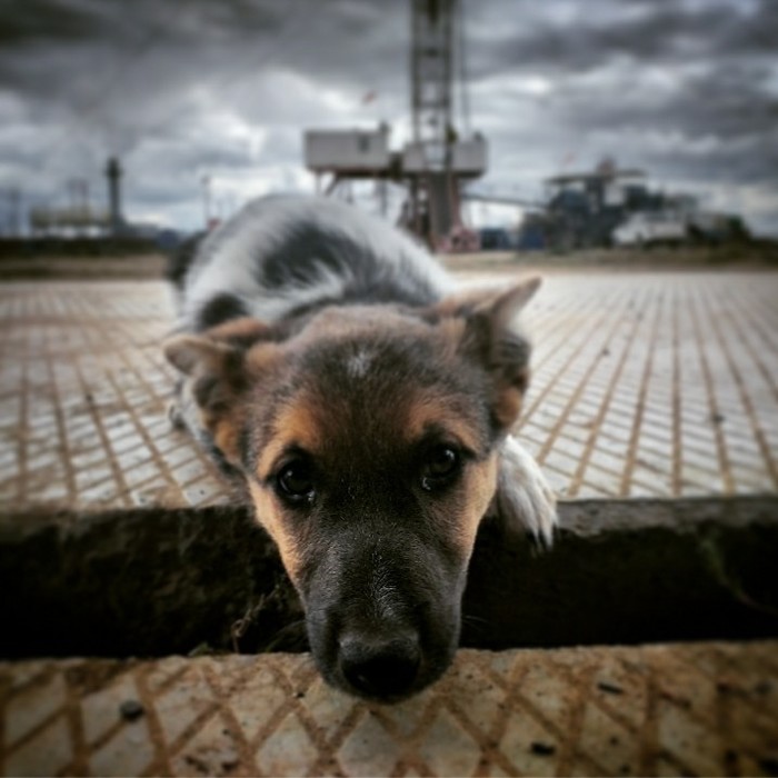 � �������� ������������