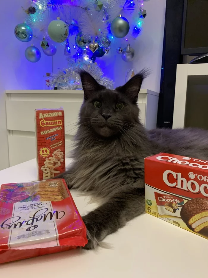 ADM from Tyumen to Moscow - My, Secret Santa, Gift exchange, cat, Maine Coon, Gift exchange report