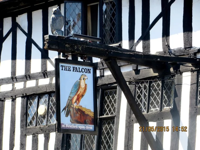 A trip to the year 1600 - My, Travels, England, William Shakespeare, Swans, Stratford, Longpost