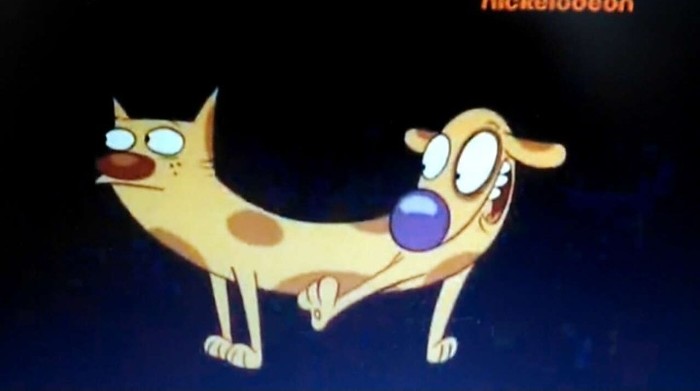 The harsh fate of Dog Cat in real life... - Siamese twins, Mutant, Hybrid, Kotopes, Black humor, Scientifically accurate, Free translation, Longpost, Catdog (cartoon)