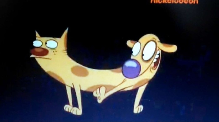 The harsh fate of CatDog in real life... - Siamese twins, Mutant, Hybrid, Catdog (cartoon), Black humor, Scientifically accurate, Free translation, Longpost