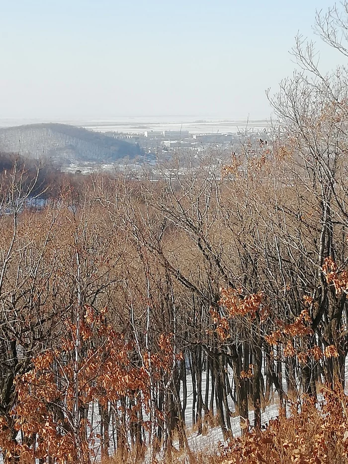 Winter outing - My, Metal detector, Primorsky Krai, Hiking, Forest, Dog, Longpost