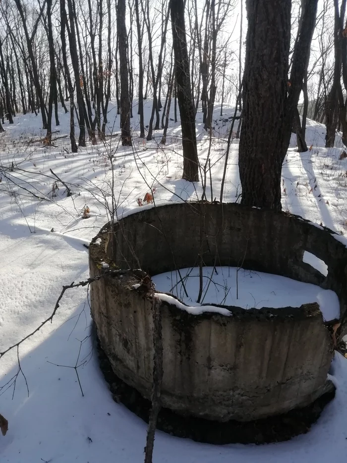 Winter outing - My, Metal detector, Primorsky Krai, Hiking, Forest, Dog, Longpost