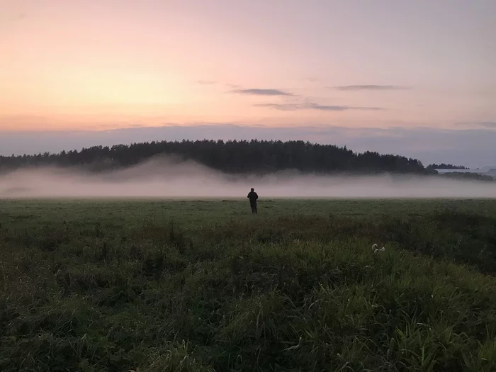 Autumn sunset. Moment on the hunt - My, Sunset, No filters, Nature