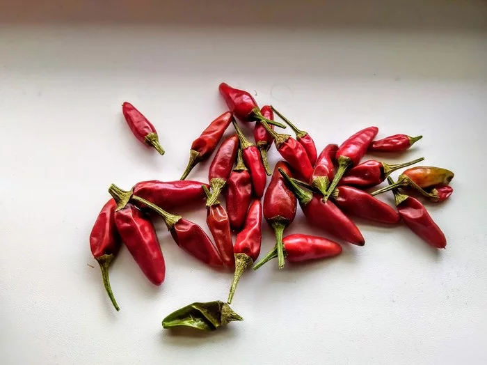 New Year's harvest - My, Pepper, Pepper farming