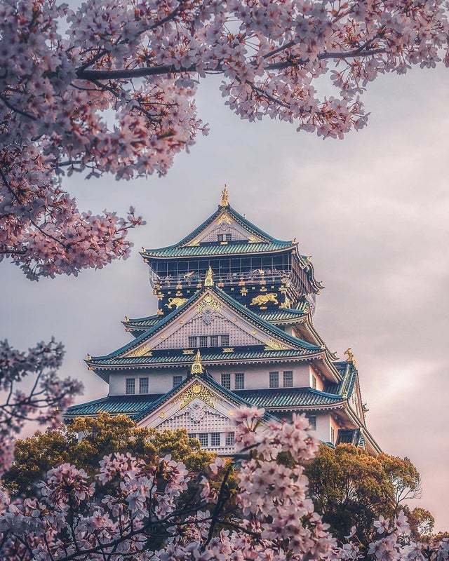 Castle in Osaka, Japan. Osakajo - Japan, Osaka, Lock, The photo, beauty, Sakura