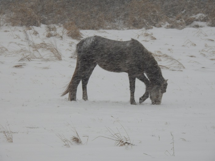 Пещерка в Мендиме. Башкортостан Пещеры, Ледяные пещеры, Заброшенные деревни, Пещерка, Длиннопост