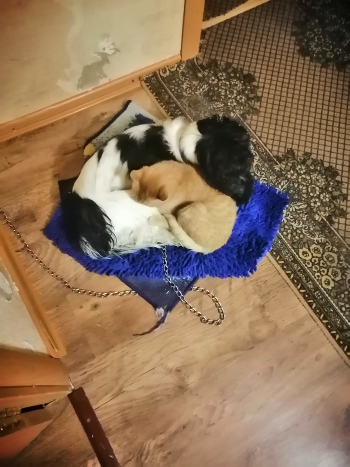 ��� � �����