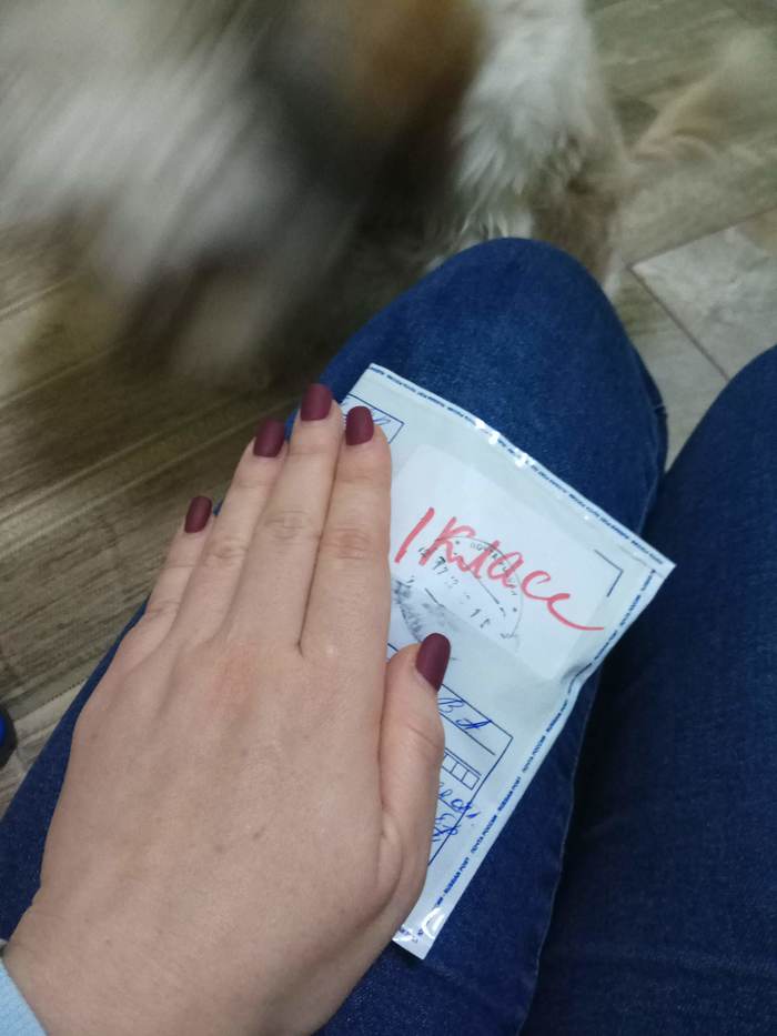 ADM to Kaliningrad from Cheboksary An intriguing gift - My, Gift exchange report, New Year's gift exchange, Gift exchange, Secret Santa, Longpost, Dog, Cute dogs