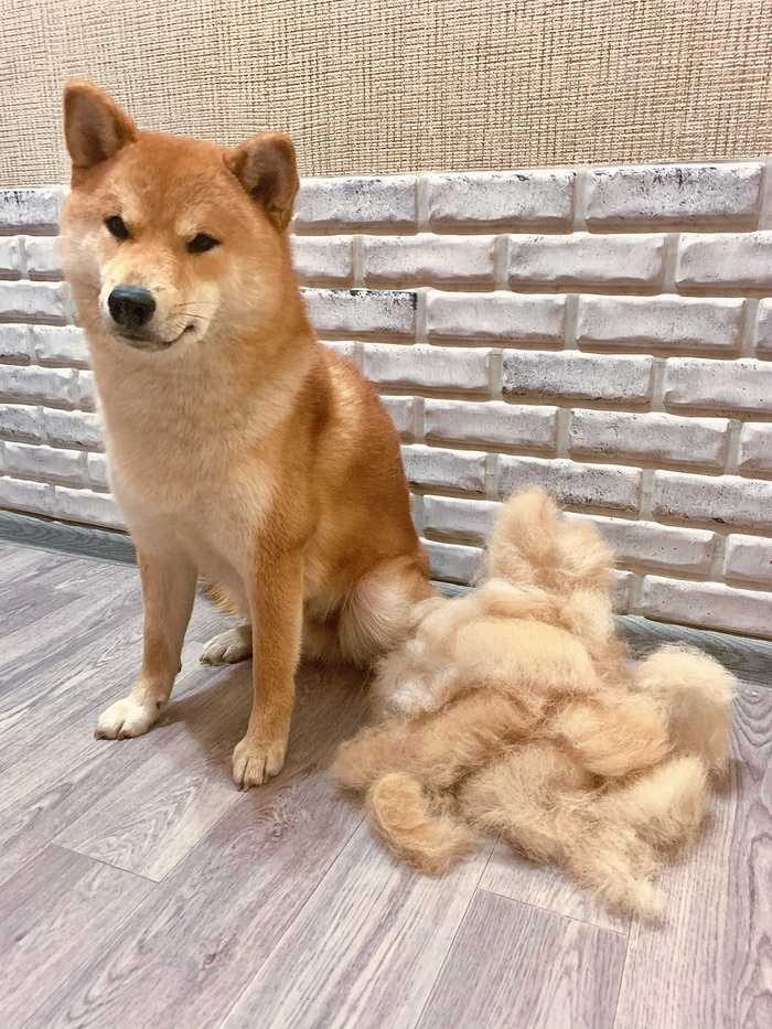 ���� � ������ 3