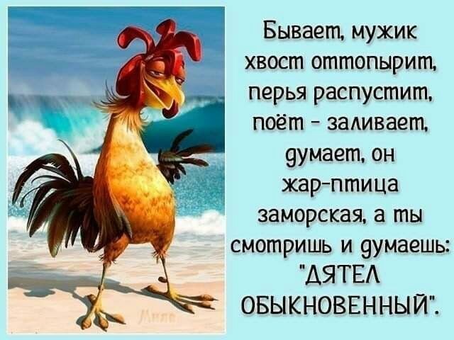 Дятел обыкновенный