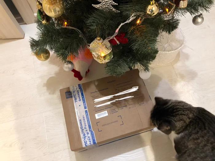 Gift exchange report. Novocheboksarsk - Akhtubinsk/2019-2020 - Secret Santa, Gift exchange, New Year's gift exchange, Akhtubinsk, Longpost, Gift exchange report, cat